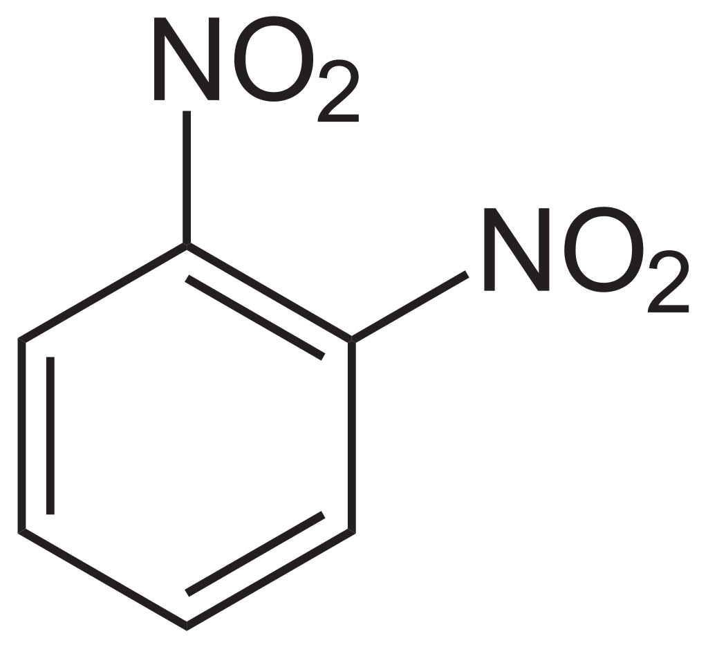 gambar3 dinitrobenzena