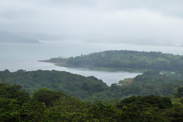 Hutan Berdasarkan Iklim