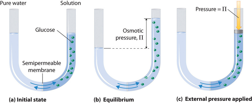 tekanan osmosis