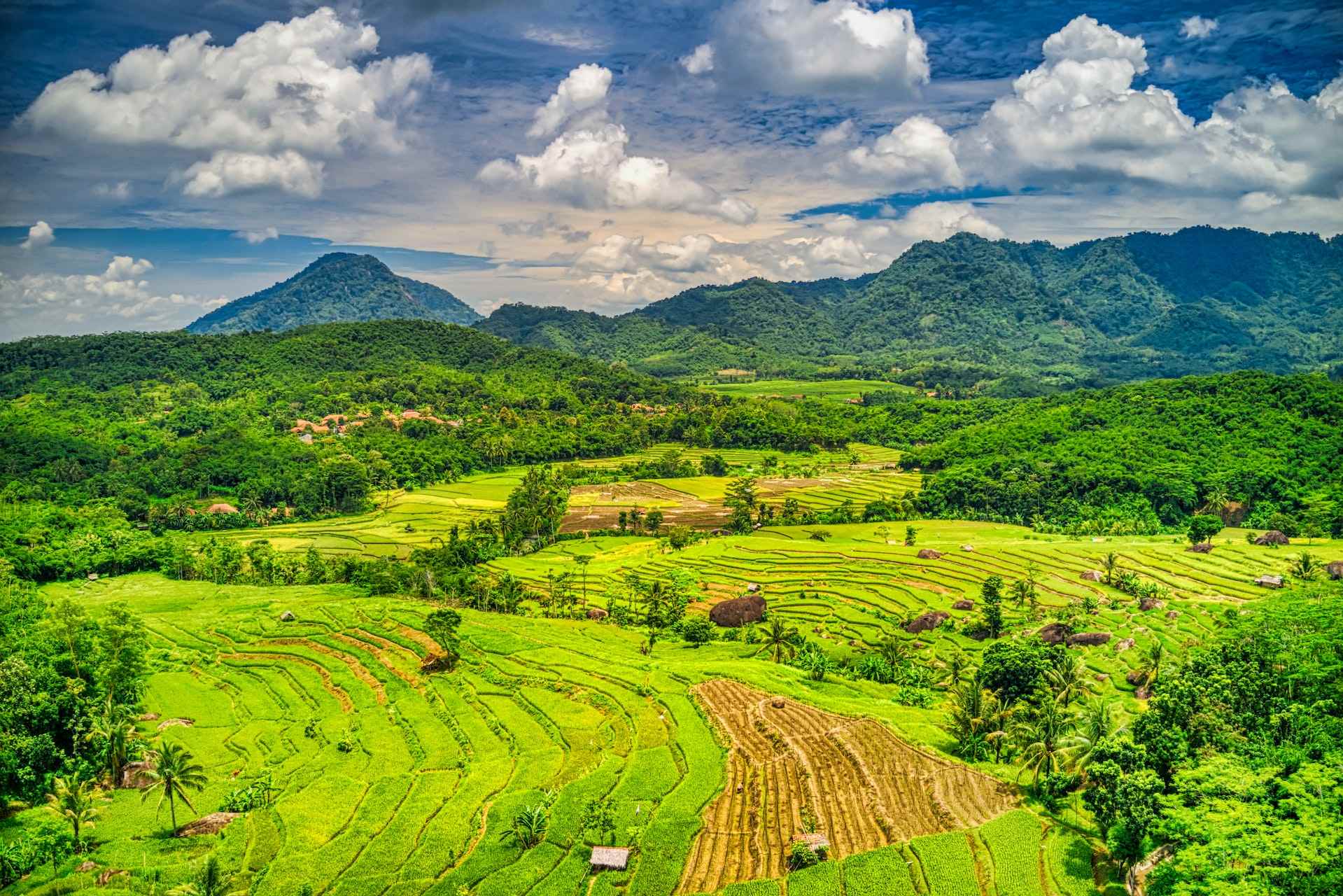 Macam-Macam Sumber Daya Alam Indonesia dan Kegunaanya