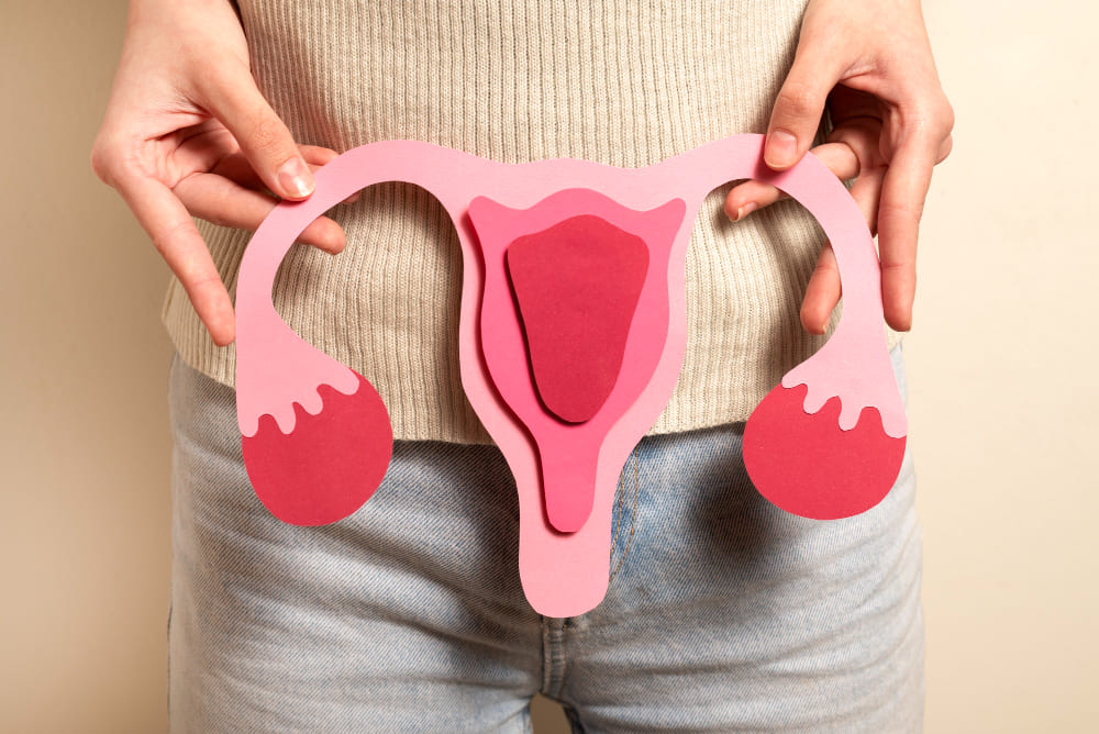 woman holding reproductive system front view 1