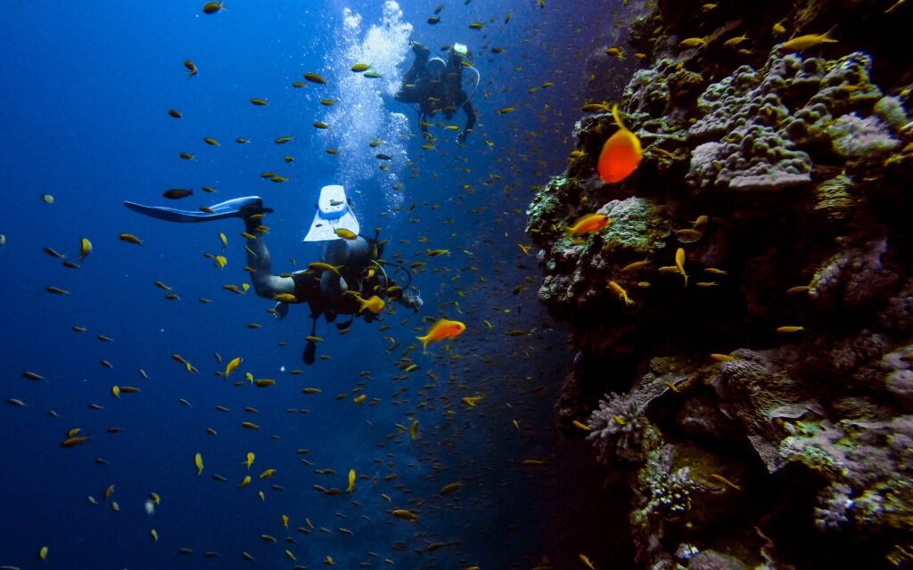 Diving di Lautan Dalam 