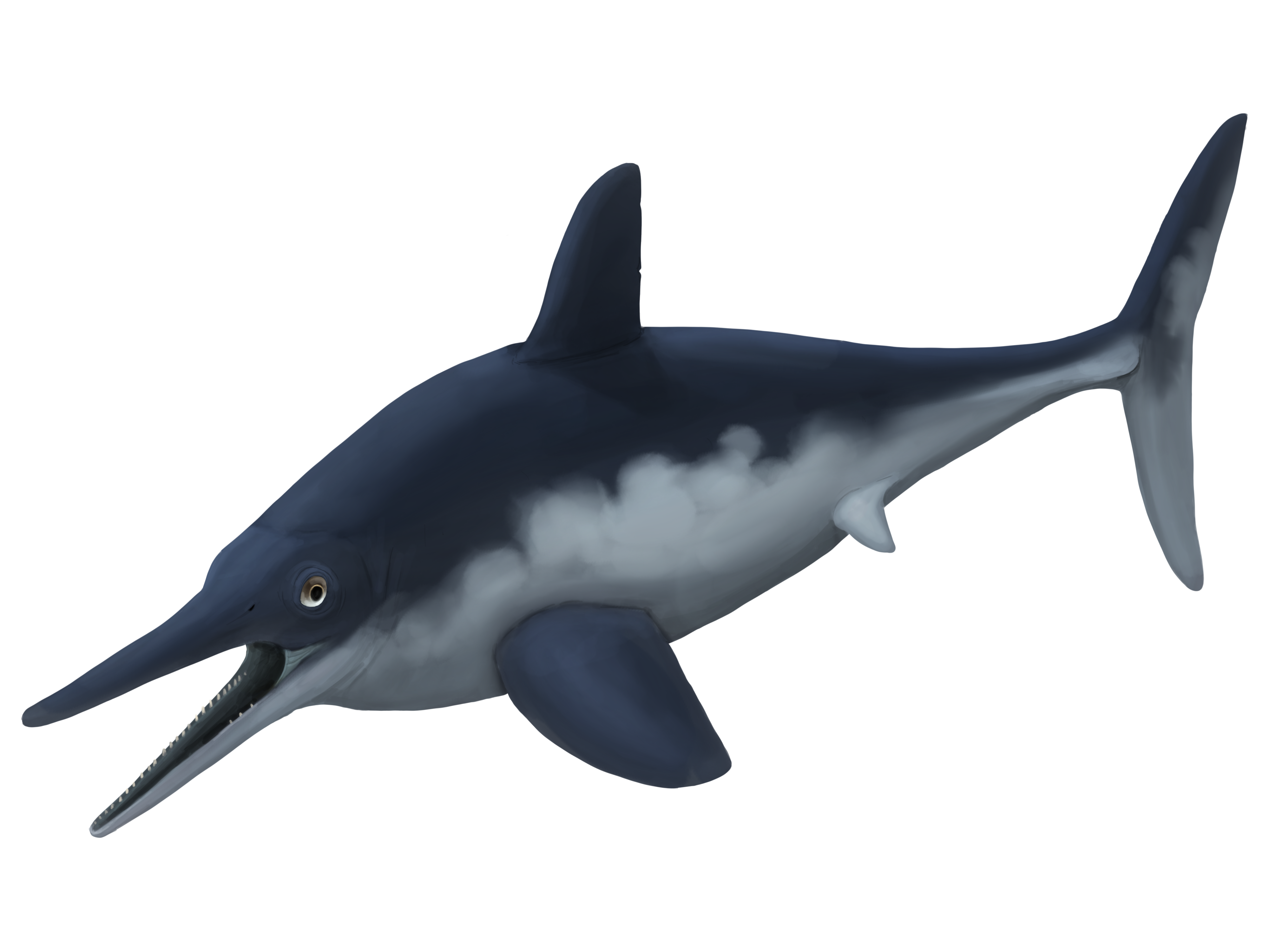 Ichthyosaurus 