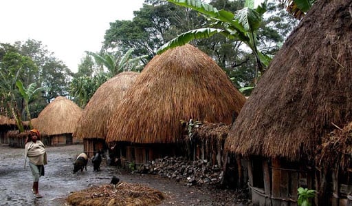 Rumah Tsyem 