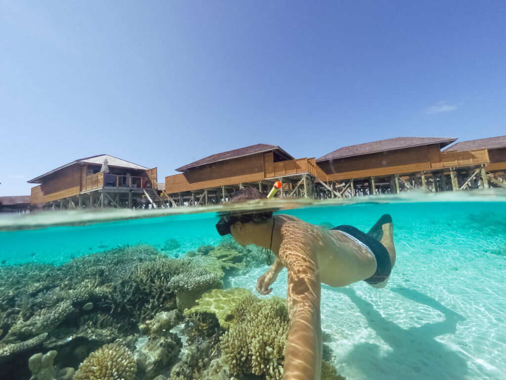 Snorkeling di Terumbu Karang 