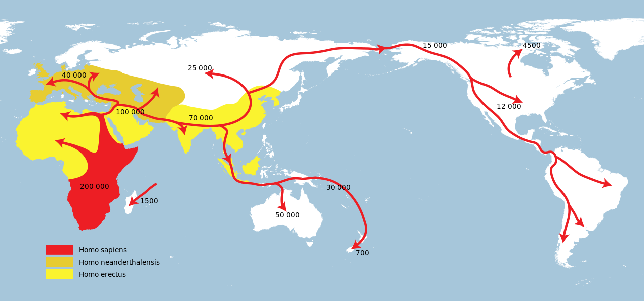 Persebaran Penduduk Afrika