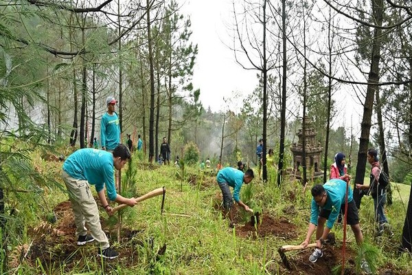 Kegiatan Menanam Pohon