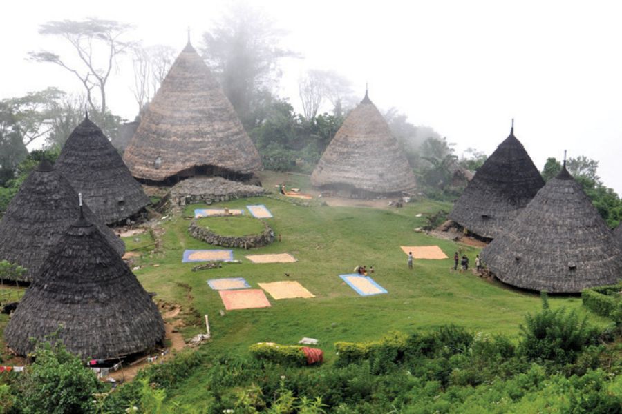 5 Rumah Adat NTT: Sejarah, Macam, Bentuk, dan Filosofinya