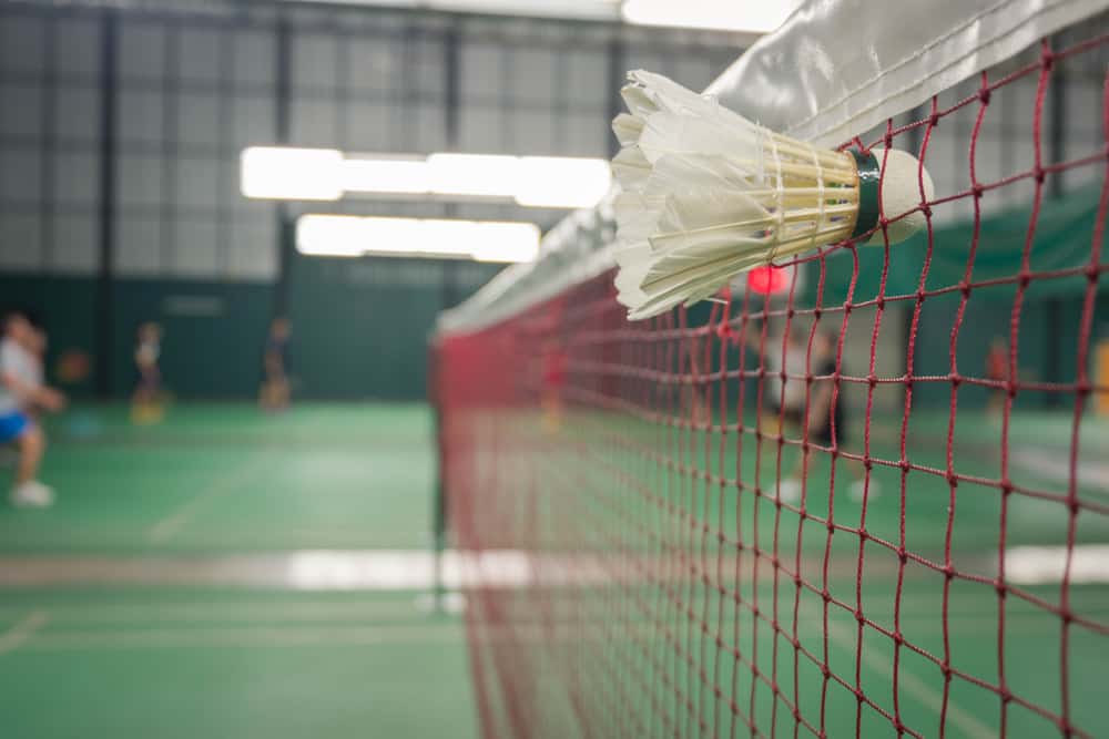 Net badminton  