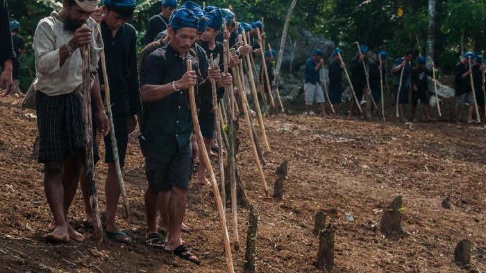 Masyarakat sedang melakukan tradisi budaya lokal