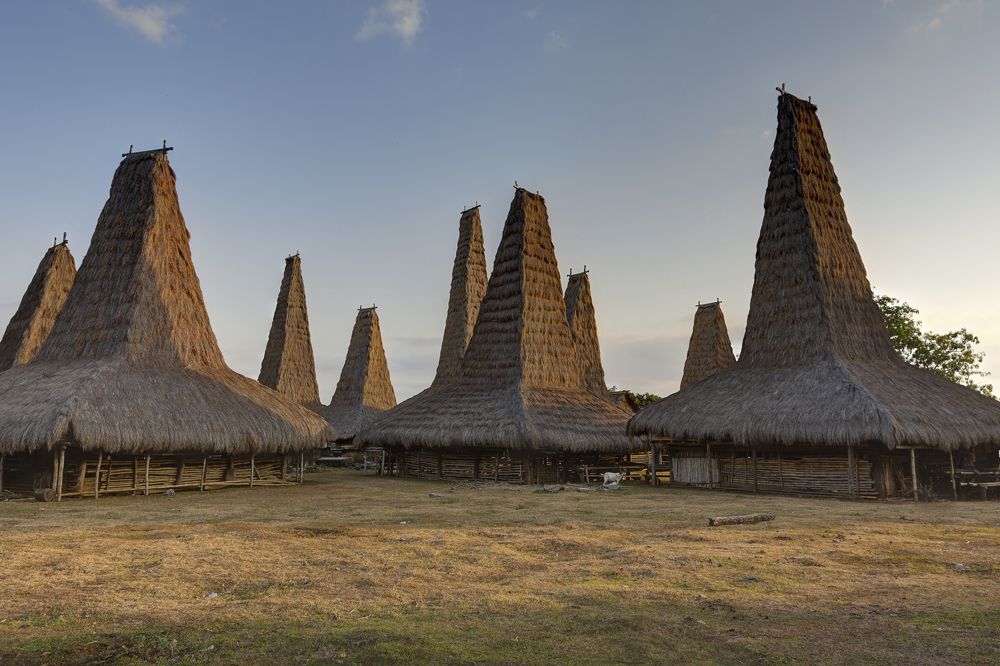 Rumah Uma Bokulu dan Uma Mbatang 