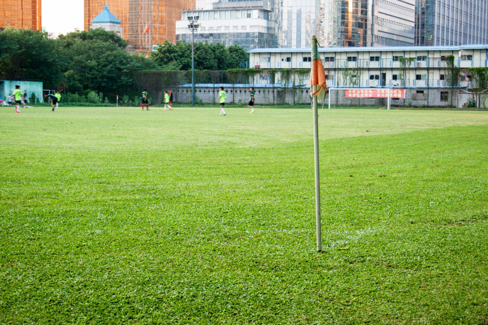 Ukuran Lapangan Mini Soccer beserta Penjelasannya