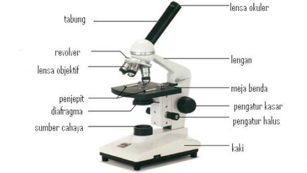 Mikroskop Cahaya 