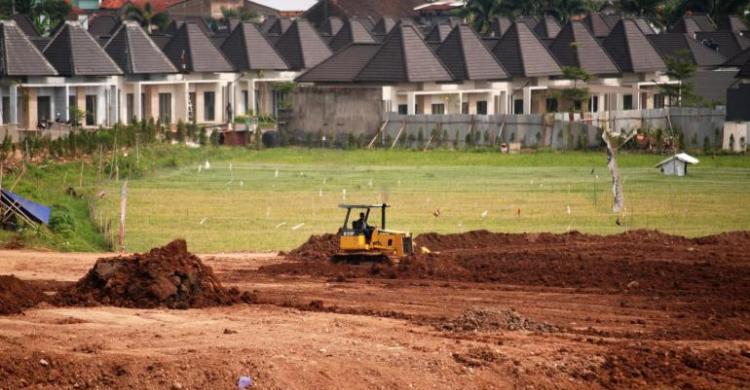 Alih Fungsi Lahan Pertanian 