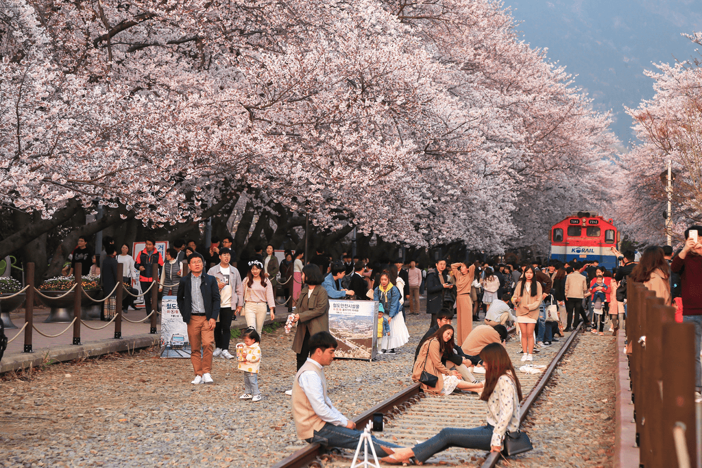 Hanami