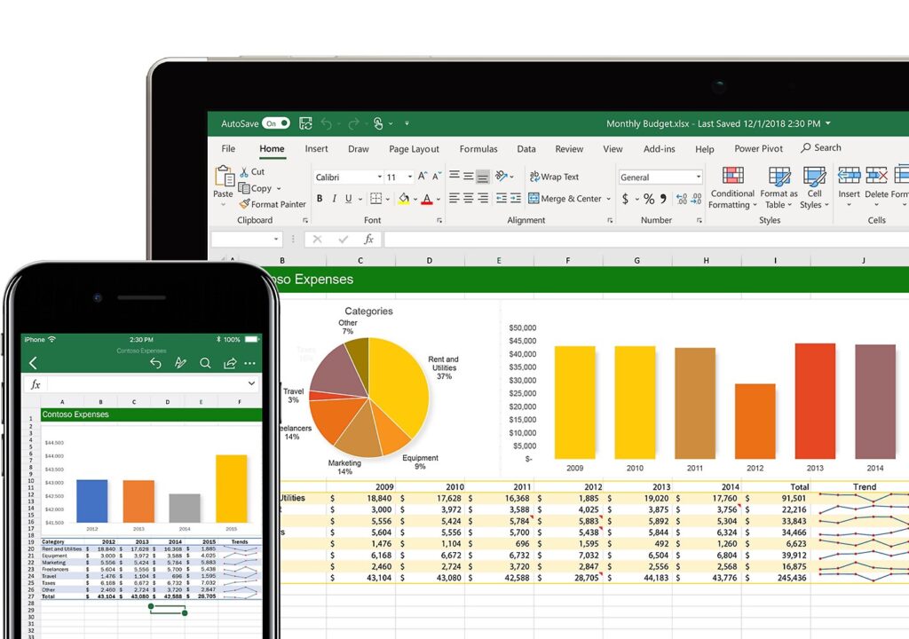 Microsoft Excel Spreadsheet