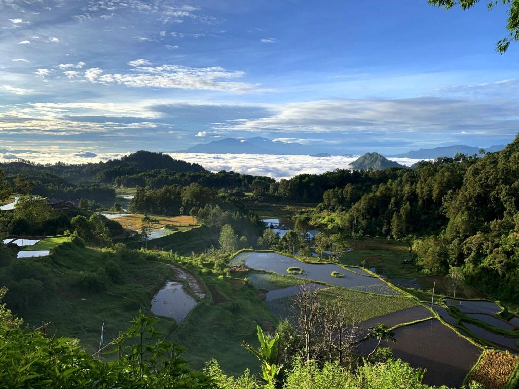 Lande Villa Toraja View