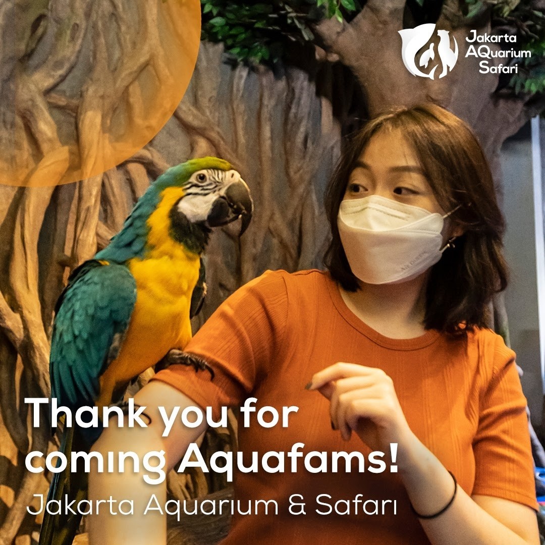 Berinteraksi dengan hewan di Jakarta Aquarium