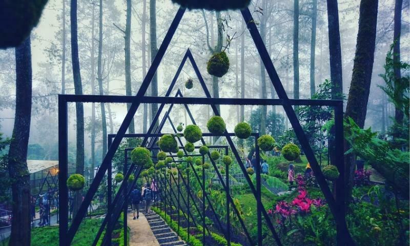 Kebun Anggrek Cikole Lembang