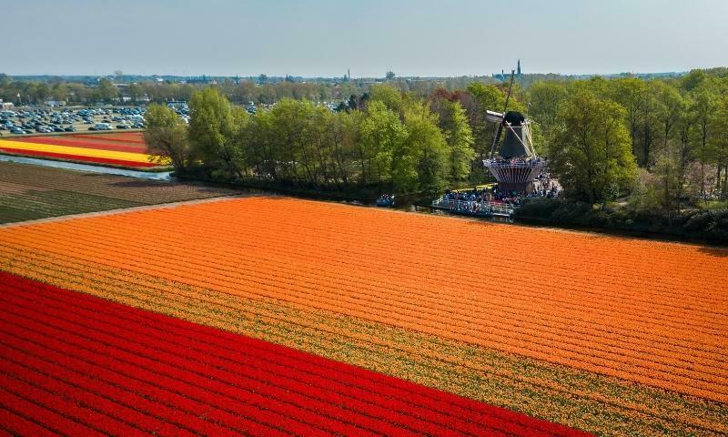 Destinasi Wisata Belanda