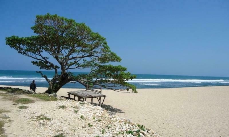 Pantai Indrayanti Menjadi salah satu pantai cantik di Jogja