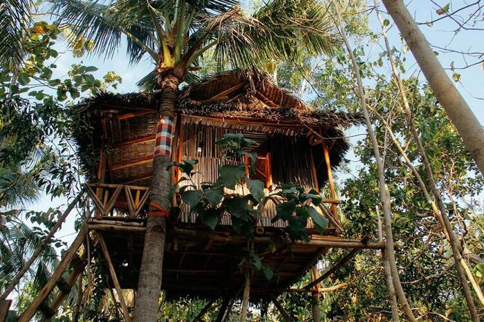 Nyuh Bengkok Tree House