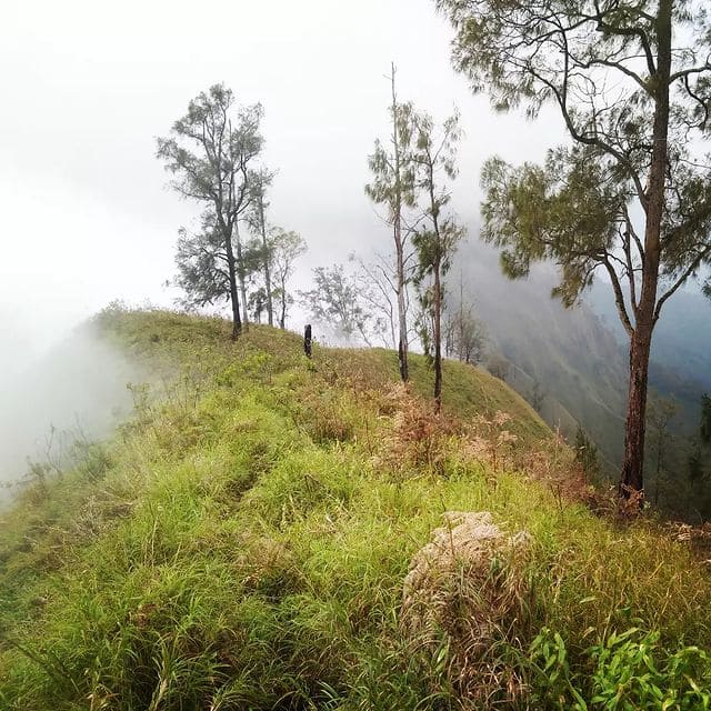 Bukit Trunyan, Wisata Pendakian Bangli dengan Panorama Menakjubkan