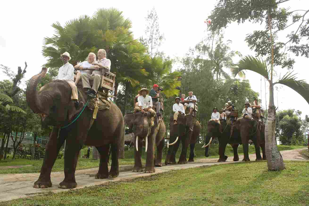 Bali Elephant Camp, Pilihan Wisata Edukasi Favorit Keluarga di Bali