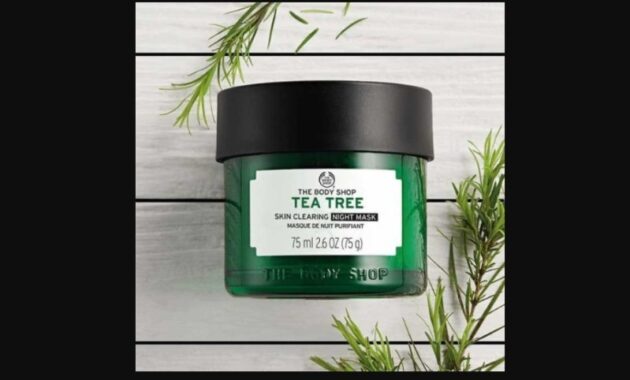 10. Tea Tree Skin Clearing Night Mask – The Body Shop