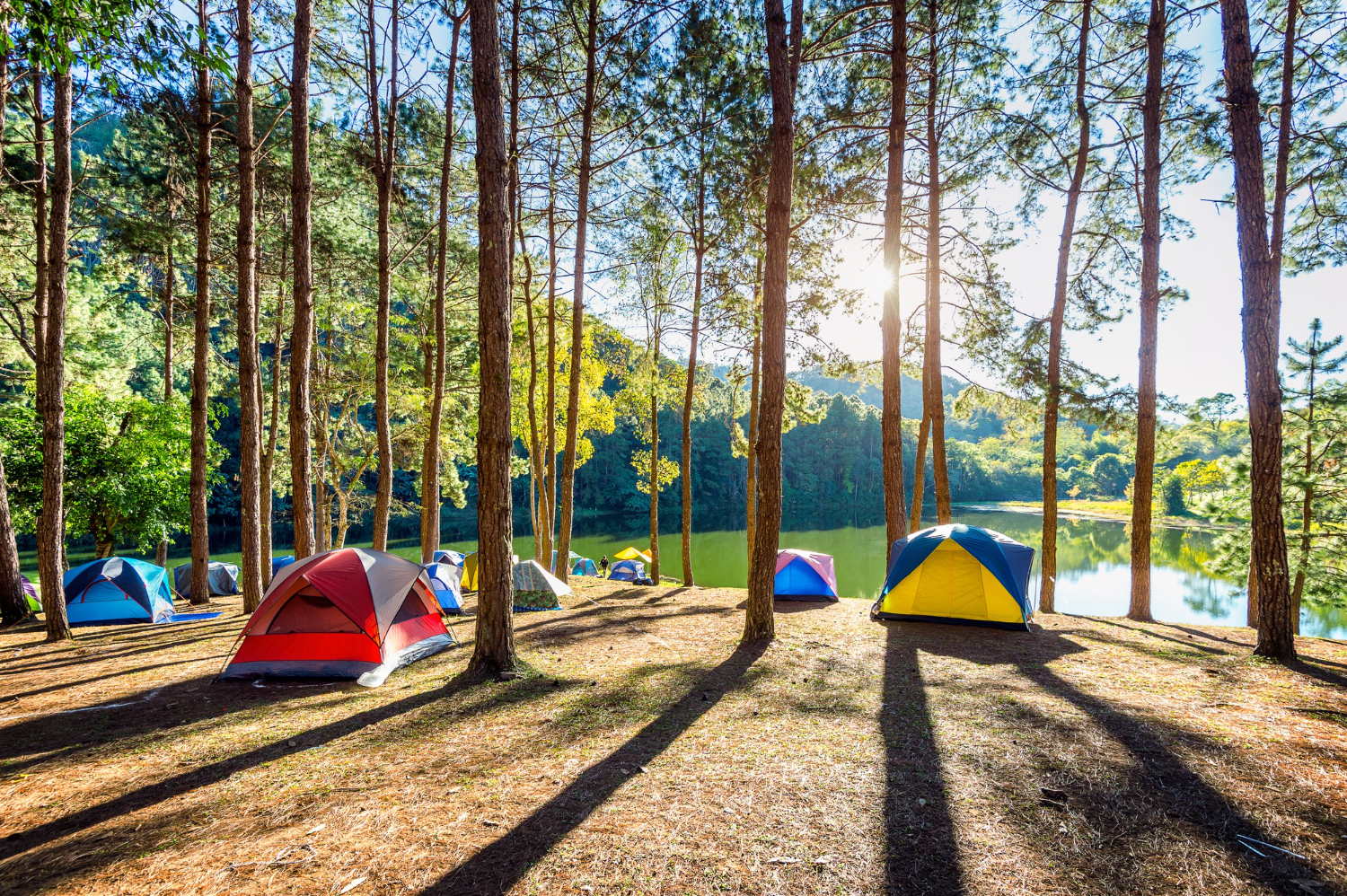 10 Rekomendasi Merk Tenda Camping yang Bagus Dan Murah