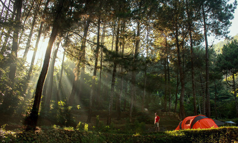 16 Tempat Camping di Bogor untuk Kamu dan Keluarga