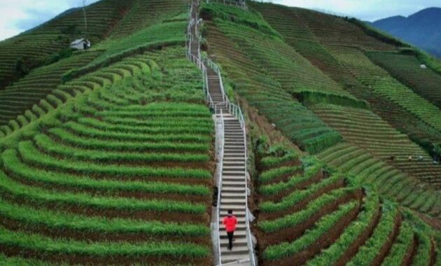 Bukit Candi Lawang Saketeng