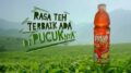 contoh iklan teh pucuk