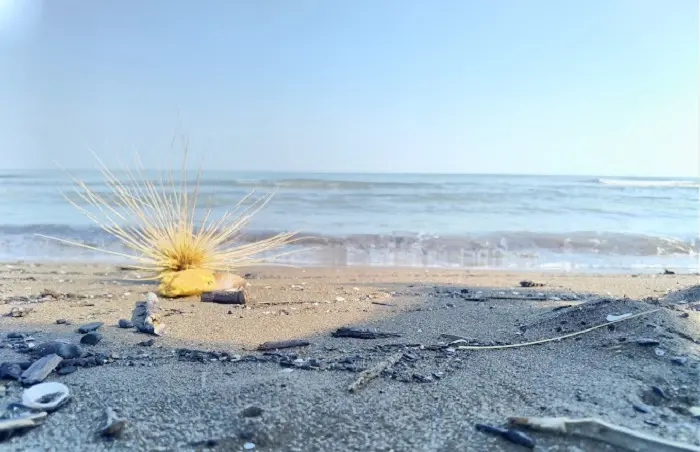 Wisata Pantai di Semarang dan Sekitarnya