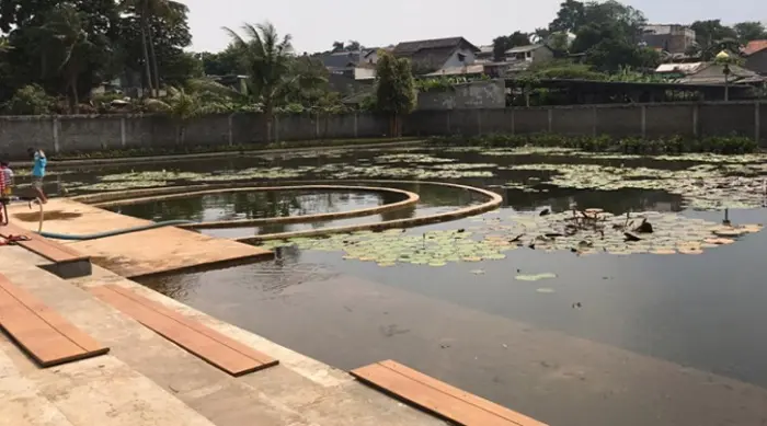 Danau Kecil Untuk Kolam Ikan