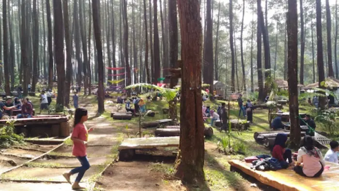 Fasilitas Hutan Pinus Bandung