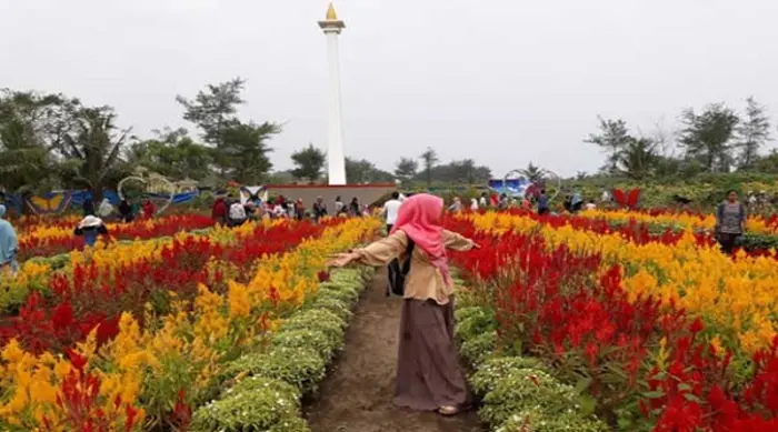 Kebun Bunga Warna Warni