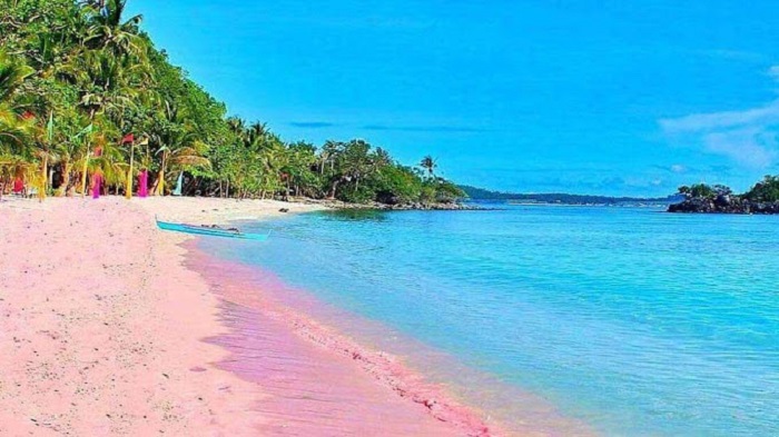 Pasir Pantai Berwarna Merah Mudah