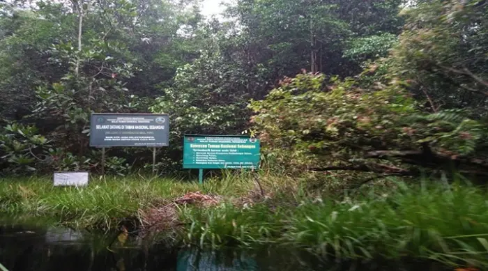 Sekilas Tentang Taman Nasional Sebangau