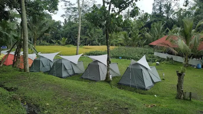 camping di Ledok Sambi