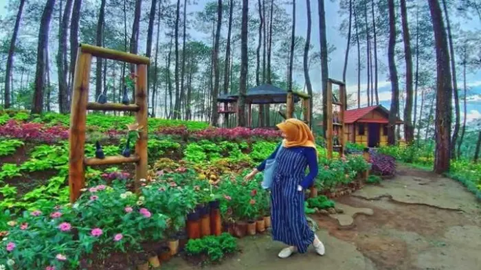 Kebun Bunga Mloko Sewu