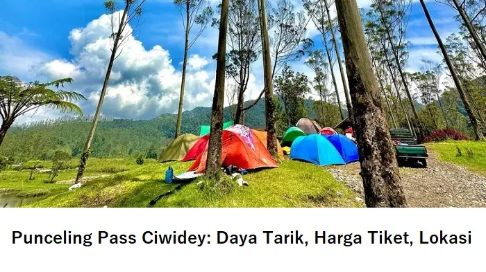 Punceling Pass Ciwidey